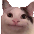 fullsize.gif