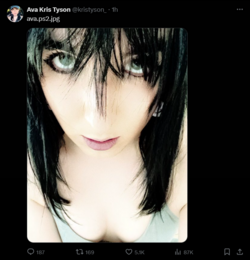 FireShot Capture 1189 - Ava Kris Tyson (@kristyson_) _ X - twitter.com.png