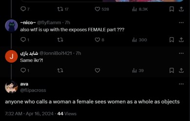 FireShot Capture 1176 - ava on X_ _@JonniBoi1421 @flyflamm anyone who calls a woman a female_ ...png