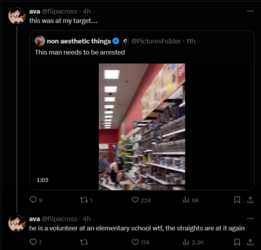 FireShot Capture 1178 - ava (@flipacross) _ X - twitter.com.png