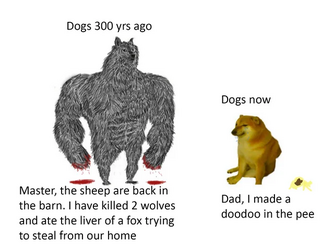 1713552051306.png