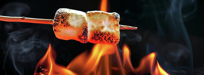 roasting-marshmallows-over-campfire-horizontal-banner-susan-schmitz-3444093564.jpg