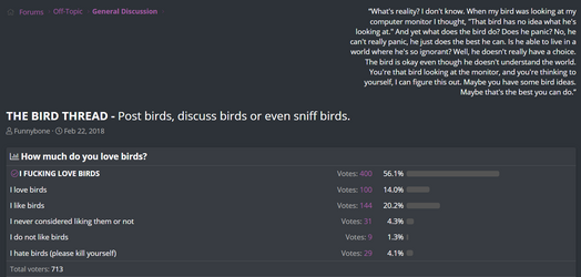 bird ideas.png