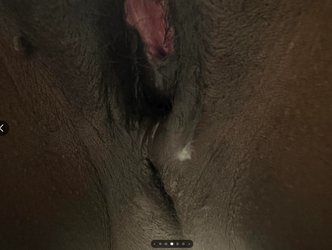 fungur10.png