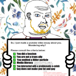 hbomberguy soyjak33.png