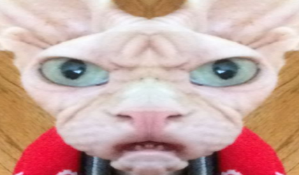 angere.png