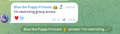 BlueFolf restricts Telegram.png