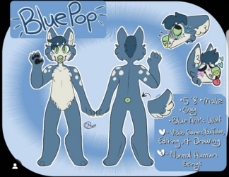 Ref Sheet for BluePop.png