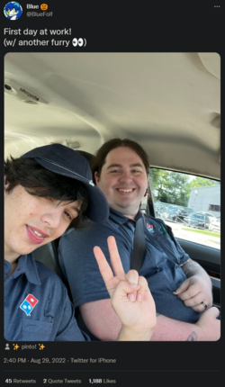 BlueFolf starts at Dominos.png