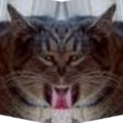 mloom.png