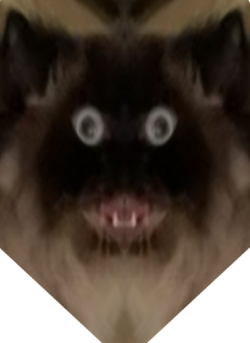 heeeeeeeh.png
