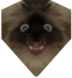 stretchd.png