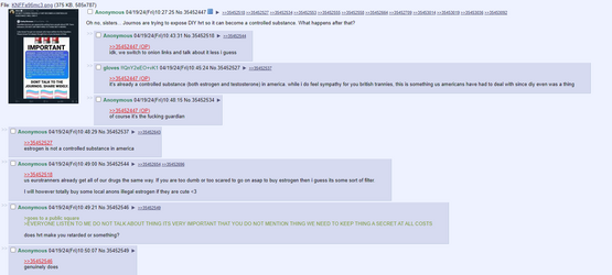 journo1.png