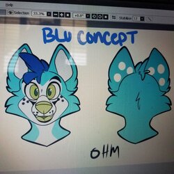 BlueFolf head reference 2020.jpg