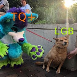1713668762923.jpeg