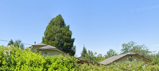 Treeview.png