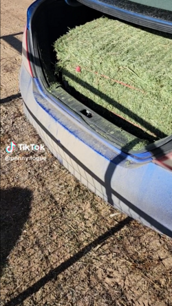 car01.png car01.png