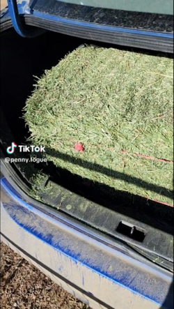 car02.png car02.png