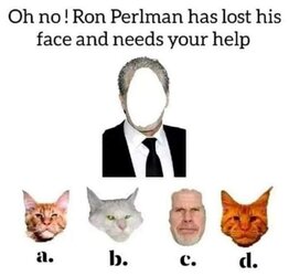 Ron.jpg
