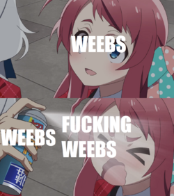 miiqs2rug9121.png