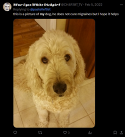 1713805425237.png