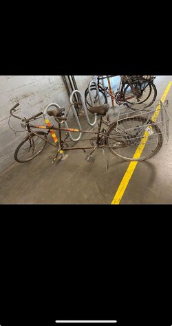 I couldnt own a small car. You cant even fit a bike in them. (5).jpg