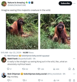 ape.png
