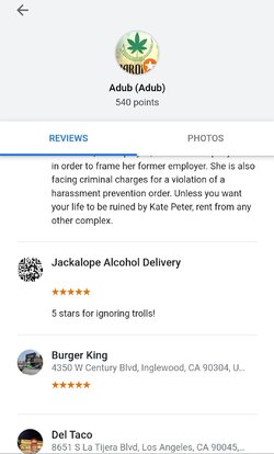 Adub reviews.jpg