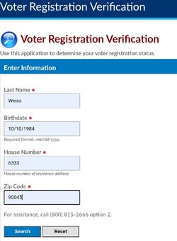 Voter Hit input.jpg