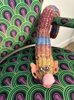 IMG_2880.jpeg