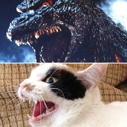 catziller3.png