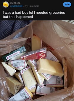 IMG_1676.jpeg