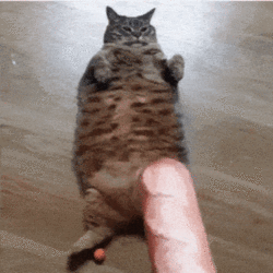 Breaded.gif