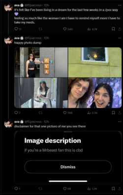 FireShot Capture 1290 - ava (@flipacross) _ X - twitter.com.png