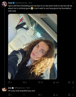 FireShot Capture 1292 - Posts with replies by ava (@flipacross) _ X - twitter.com.png