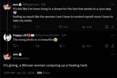 FireShot Capture 1296 - ava on X_ _@YourTransSister it’s giving, a Wiccan woman conjuring up_ ...png