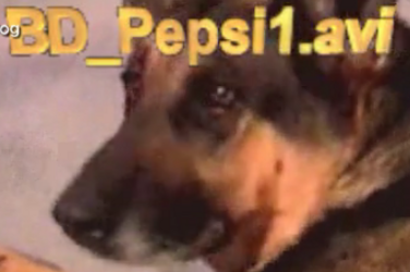 1713922242833.png