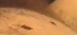 1713924131725.png