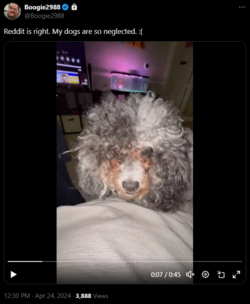 1713979444317.png