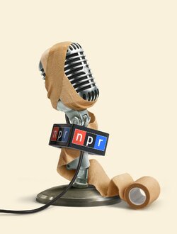 npr01.jpg