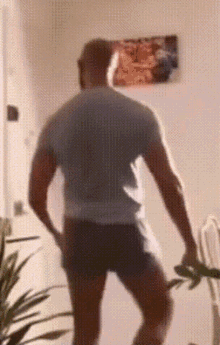 Andrew Tate.gif