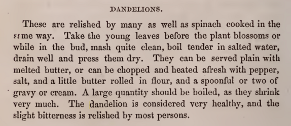 Dandelions-1866-Jennie-Junes-American-Cookery-Book.png