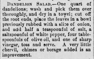 Dandelion-Salad-The-Daily-Republican-of-Monongahela-PA-25-Ap4-1885.png