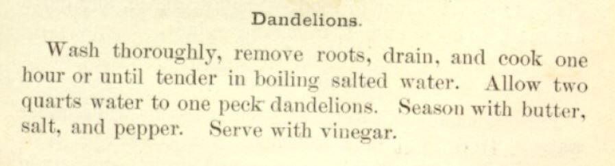 Dandelions-recipe.-The-Boston-Cooking-School-Cookbook-by-Fannie-Merrit-Farmer-1896.jpg