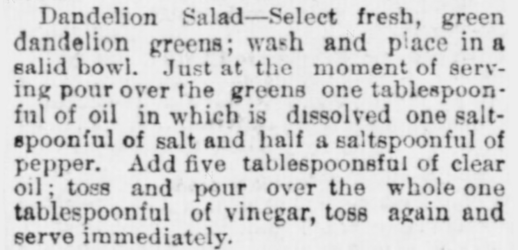 Dandelion-Salad.-The-Indiana-State-Sentinel-of-Indianapolis.-May-13-1891.png