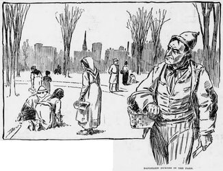 Dandelion-Pickers-in-the-Park-illustration.-The-Chicago-Chronicle-pril-12-1896-900x691.jpg
