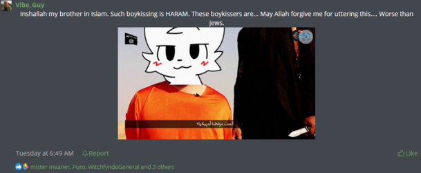 joke or opinion.PNG