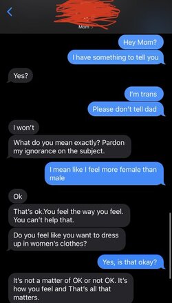 Trans text messages 1.jpg