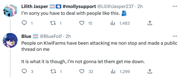 BlueFolf second Kiwi Farms mention.png