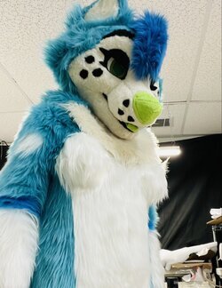 Fullsuit 3.jpg